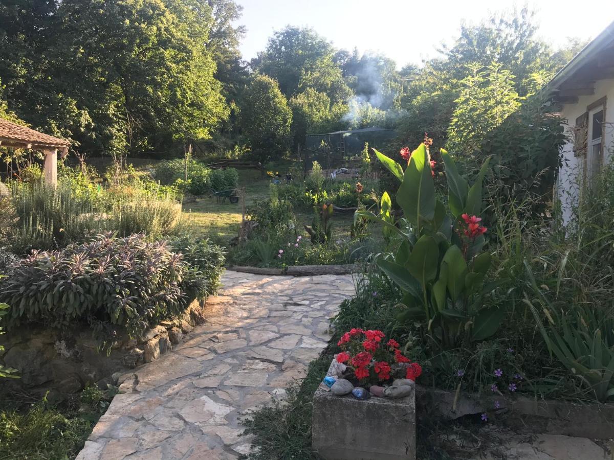 Balkan Retreat Besenovo Экстерьер фото