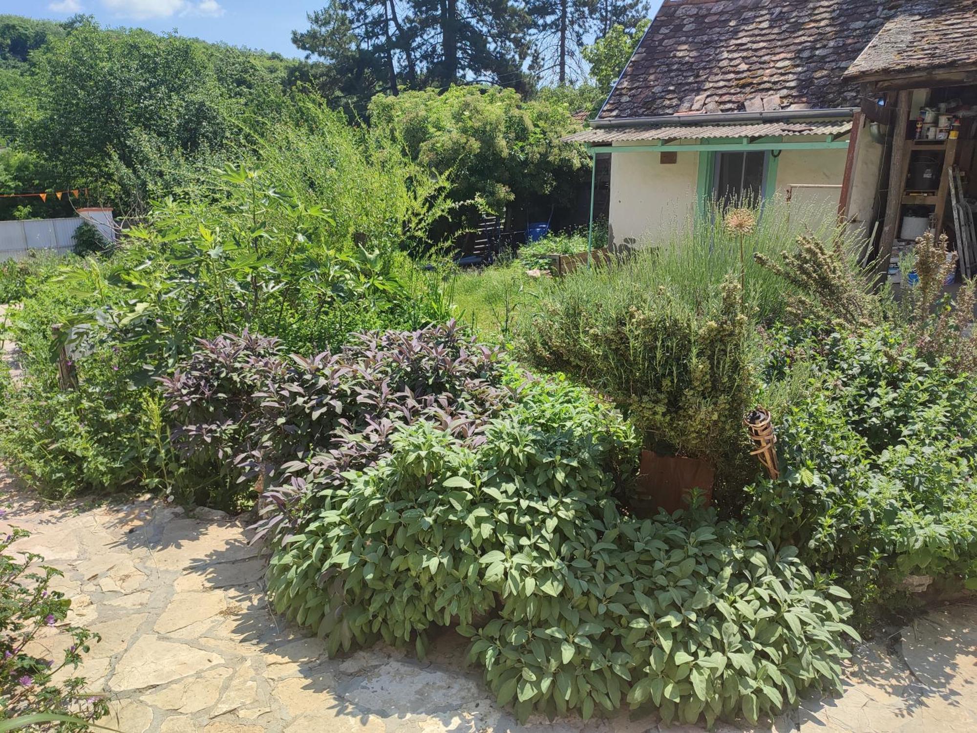 Balkan Retreat Besenovo Экстерьер фото