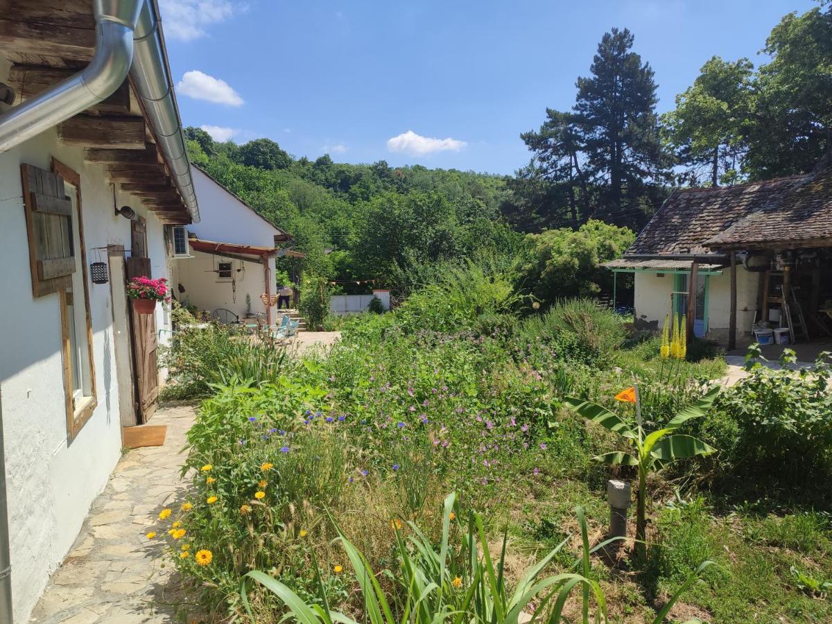 Balkan Retreat Besenovo Экстерьер фото