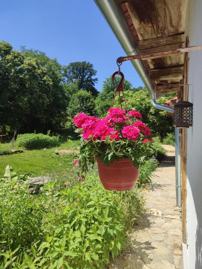 Balkan Retreat Besenovo Экстерьер фото