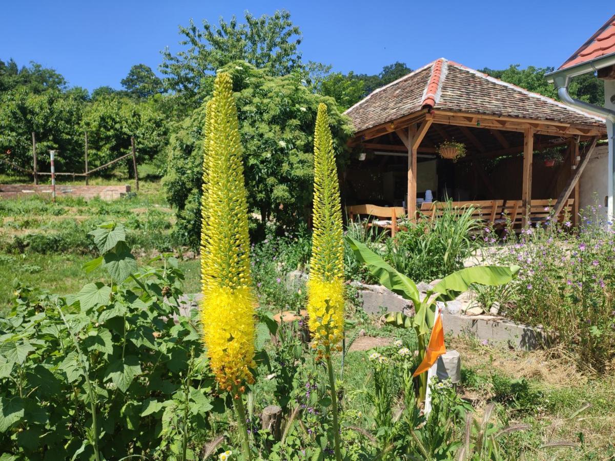 Balkan Retreat Besenovo Экстерьер фото