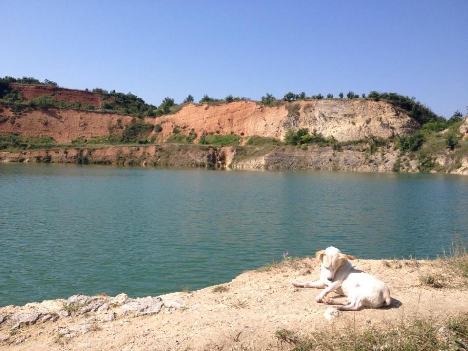 Balkan Retreat Besenovo Экстерьер фото